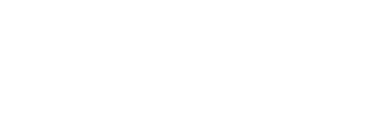 Logo choclo